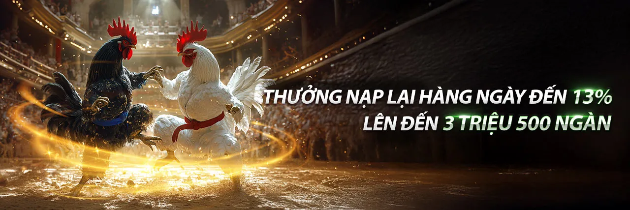 Sân đấu đá gà trực tuyến tại TX666 trang chủ
